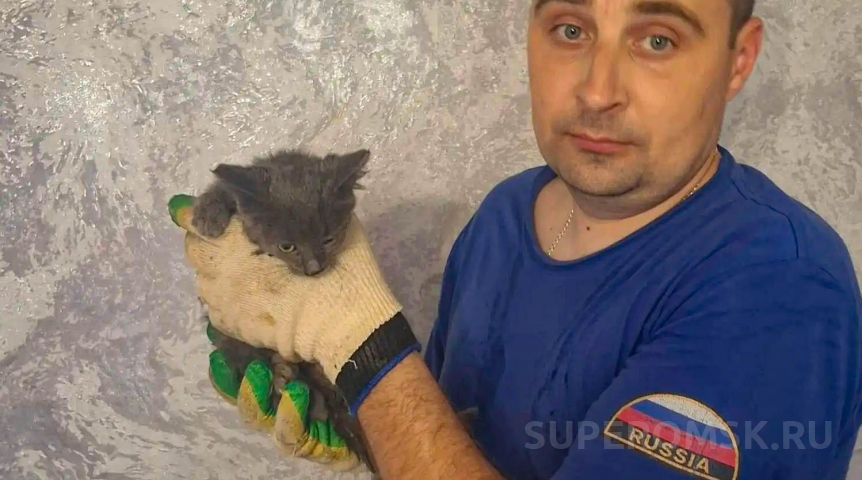 Котенок во время пожара в Омске проявил инициативу Котенок во время пожара в Омске проявил инициативу