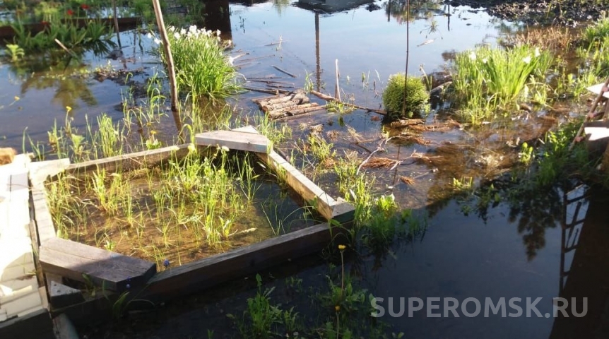 Общество Омские власти сообщили об уходе воды с дачных участков в Осташково