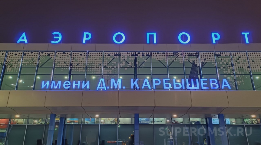 Птицы продолжают кошмарить самолеты в Омске