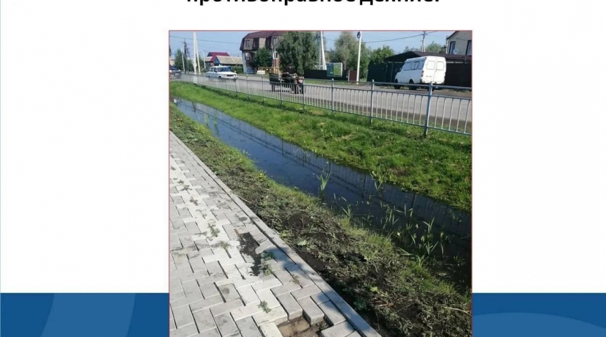 Общество В омском Любино начали разворовывать местный парк