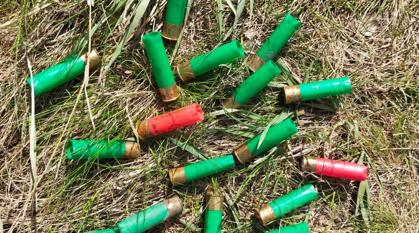 Общество Добыча лося теряет популярность у охотников в Омской области