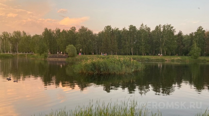 Общество В омском парке отменили борьбу с комарами