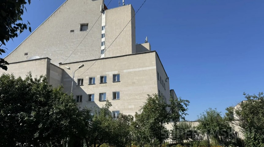 У Музыкального театра в Омске на яблоне появились плоды в разгар лета У Музыкального театра в Омске на яблоне появились плоды в разгар лета