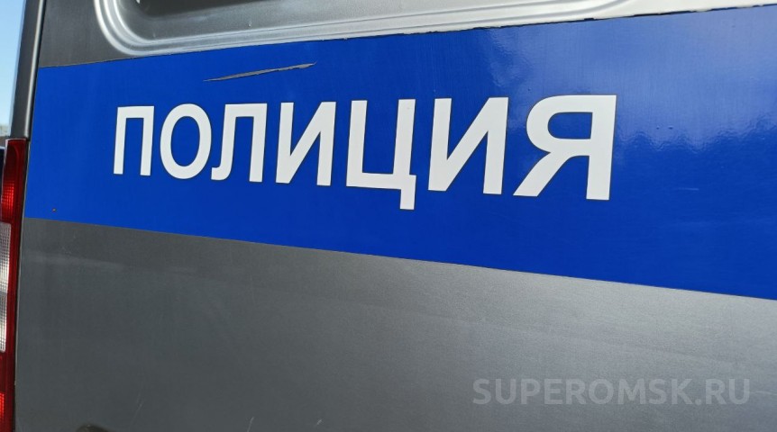 Криминальные новости Омич целился в собаку, а попал в глаз пенсионерки