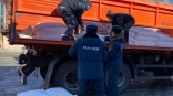 Омские фермеры отдали часть урожая на помощь беженцам Омские фермеры отдали часть урожая на помощь беженцам