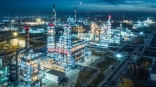 По выплате налогов в областной бюджет лидируют пивовары и нефтяники По выплате налогов в областной бюджет лидируют пивовары и нефтяники