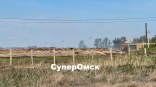 Омские власти соберут совещание из-за тлеющего пометохранилища у Сибирской птицефабрики