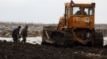 Кому из омских аграриев президент присвоил почетные награды и звания