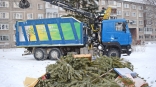 Омичи могут оставить новогодние ели для переработки на мусорных площадках Омичи могут оставить новогодние ели для переработки на мусорных площадках