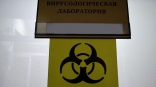 Появилось сообщение о ситуации птичьим гриппом в Омской области Появилось сообщение о ситуации птичьим гриппом в Омской области