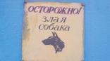 У собак и кошек в Омской области находят смертельный вирус У собак и кошек в Омской области находят смертельный вирус