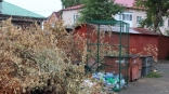 Доступную услугу по вывозу древесных отходов для юридических лиц предложил омский регоператор
