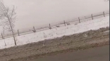 Омич расставил по лесам жуткие ловушки на животных Омич расставил по лесам жуткие ловушки на животных