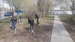 Активисты молсовета вышли облагородить город в рамках акции «Омску – наша забота» Активисты молсовета вышли облагородить город в рамках акции «Омску – наша забота»