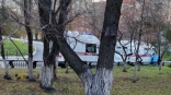 После отмены ограничений в Омске остались больницы с карантинами После отмены ограничений в Омске остались больницы с карантинами