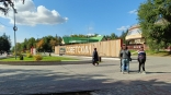 Омичи заявили о масштабном возгорании пуха в парке