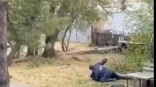 Омские сельчанки сдали сотрудника полиции следователям Омские сельчанки сдали сотрудника полиции следователям