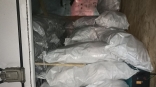 Омск решили завалить нелегальной рыбой Омск решили завалить нелегальной рыбой