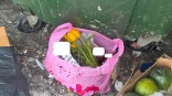 Омички начали выбрасывать тюльпаны до 8 Марта