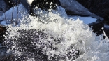 В Омской области большая вода отступает от домов В Омской области большая вода отступает от домов