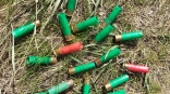 В Омске объявили охоту на барсучий жир В Омске объявили охоту на барсучий жир