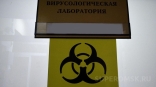 В Омской области выявлены новые очаги смертельной инфекции В Омской области выявлены новые очаги смертельной инфекции