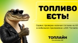 «Топлайн» запустил в мобильном приложении сервис проверки наличия топлива на АЗС «Топлайн» запустил в мобильном приложении сервис проверки наличия топлива на АЗС