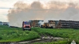 Под Омском аграрии разом потеряли сотни тонн сена в пожаре