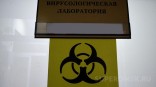 Район Омской области «зачистили» от нескольких вирусов Район Омской области «зачистили» от нескольких вирусов