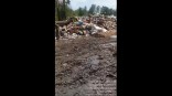 Водитель мусоровоза пожаловался на забитую до краев свалку омского севера Водитель мусоровоза пожаловался на забитую до краев свалку омского севера