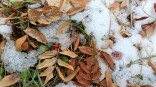 На Омскую область уже передали циклон с похолоданием и первым снегом На Омскую область уже передали циклон с похолоданием и первым снегом