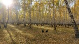 В Омске после заморозков начнется потепление В Омске после заморозков начнется потепление
