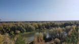 Потеплеет до +26 °C: объявлен прогноз по бабьему лету в Омской области Потеплеет до +26 °C: объявлен прогноз по бабьему лету в Омской области