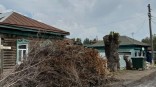 Суд запретил омичам выбрасывать ветки в мусорные баки