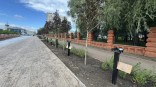 Первая аллея олимпийцев переехала на новую набережную в Омске Первая аллея олимпийцев переехала на новую набережную в Омске