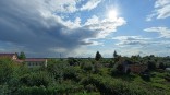 На омском севере освоили африканскую агрокультуру на фоне аномальной жары На омском севере освоили африканскую агрокультуру на фоне аномальной жары