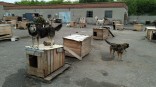Омский общественник предложил создать региональный приют для бездомных животных Омский общественник предложил создать региональный приют для бездомных животных