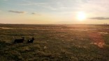 Омскую область накроет резкое похолодание до 0 °C Омскую область накроет резкое похолодание до 0 °C