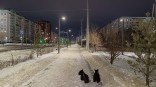 Стала известна вероятная дата первого снега в Омской области Стала известна вероятная дата первого снега в Омской области