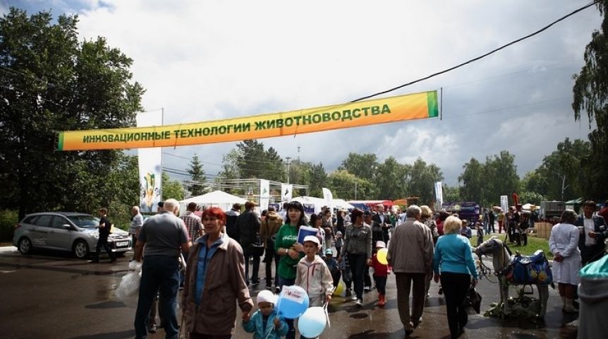 Иллюстрация к материалу Иллюстрация к материалу