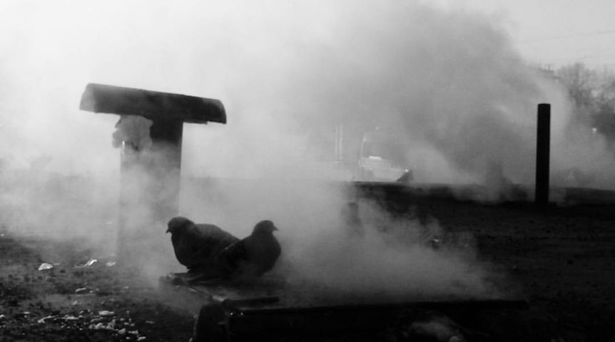 Фото: Денис Лопарёв Фото: Денис Лопарёв