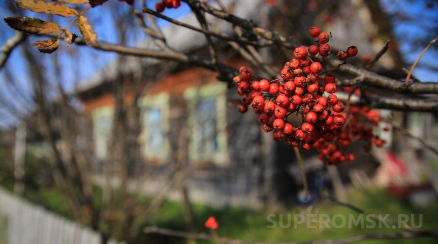 Иллюстрация к материалу Иллюстрация к материалу