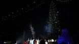 Иллюстрация к материалу Иллюстрация к материалу