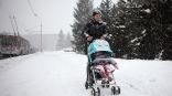 Иллюстрация к материалу Иллюстрация к материалу