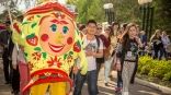 Иллюстрация к материалу Иллюстрация к материалу
