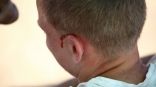 Иллюстрация к материалу Иллюстрация к материалу
