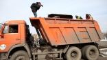 Иллюстрация к материалу Иллюстрация к материалу