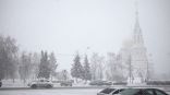 Иллюстрация к материалу Иллюстрация к материалу