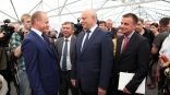 Иллюстрация к материалу Иллюстрация к материалу