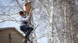 Иллюстрация к материалу Иллюстрация к материалу